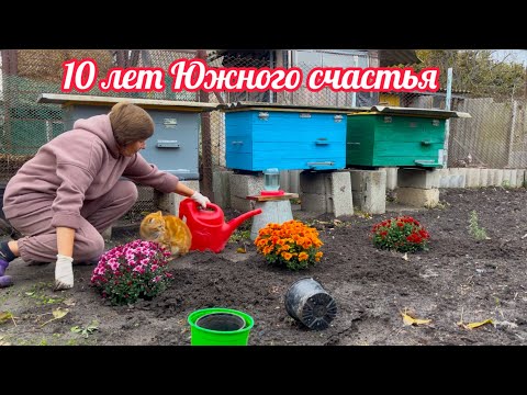 Видео: Переезд на Юг | Посадка винограда и хризантем | Готовим пчел к зиме