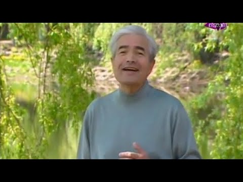 Видео: Фәрит Бикбулатов - Һағынғанда