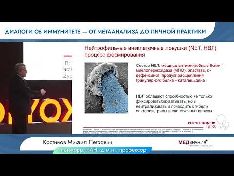 Видео: Иммунокоррекция. Нейтрофильные внеклеточные ловушки,их роль в инфекционных процессах