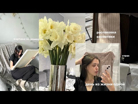 Видео: видеодневник.