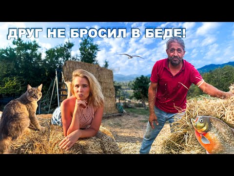 Видео: УРАБОТАЛИСЬ В НОЛЬ! Тонна сена выжала все соки! Первый автополив и купание хвостиков. Жизнь вдеревне