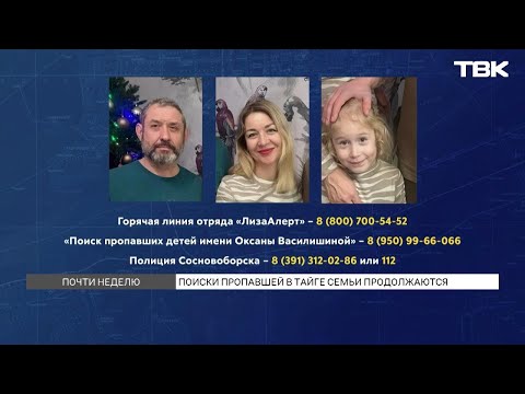 Видео: Пропавшую в тайге семью Усольцевых из Железногорска ищут почти неделю