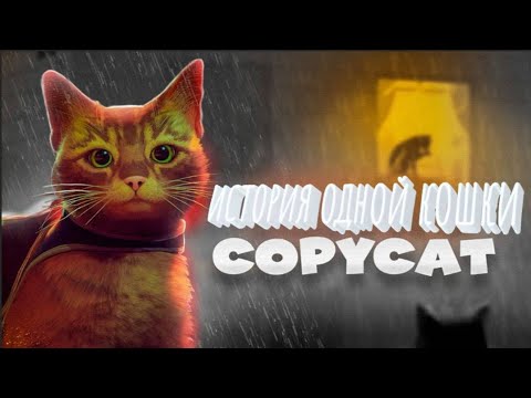 Видео: Кошачьи истории Copycat