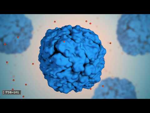 Видео: Что такое белок?