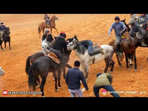 Видео: Бузкаши Улоки Дашти калон 31.12.2022 Спонсор Меркул Хожи Жавлонбек Кенжаев Бузкаши Хучанд