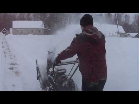 Видео: Не все пчёлы медоносные.