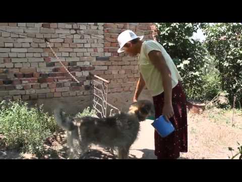 Видео: Един ден...