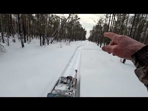 Видео: Последний месяц охот- сезона. Есть добыча. Непредвиденные обстоятельства.