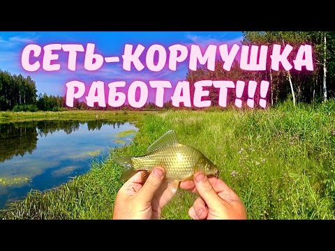 Видео: 🎣КАРАСЬ НА СЕТКУ С КОРМУШКОЙ ЛОВИТСЯ ОТЛИЧНО!!! 🐟