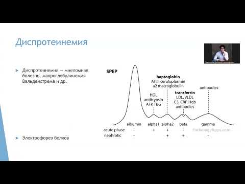 Видео: БХ 3.3 Показатели белкового обмена (печень, ферменты, билирубины)
