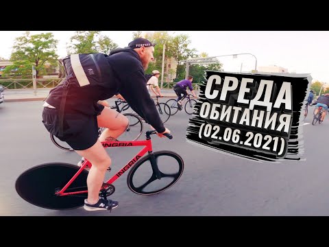 Видео: Среда Обитания (02.06.2021)