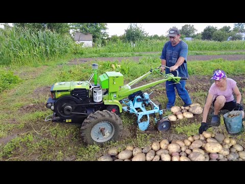 Видео: Копаем картофель модернизированной копалкой!