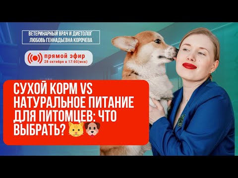Видео: Сухой корм или натуралка для питомцев: правда от ветеринарного диетолога | Любовь Корочева