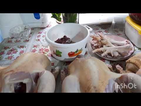 Видео: Жизнь в селе/  убираю птицу/ перекопала / пересадила малину/