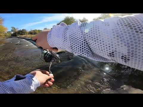 Видео: Bassday KOBUN 20F и не само