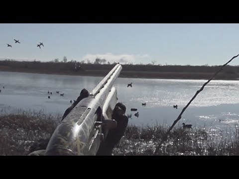Видео: ПЯТЬ ПАТРОНОВ, ШЕСТЬ УТОК!!! Охота на утку. Эксклюзивный рецепт омлета!!! Северный перелёт..