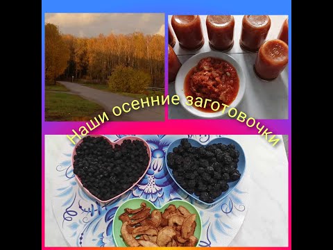 Видео: Наши осенние заготовочки