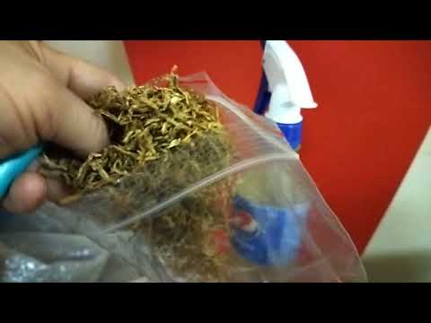 Видео: ТАБАКАРЕЗКА КУБАНКА/НЕ Пожалеете/ВЕЩЬ