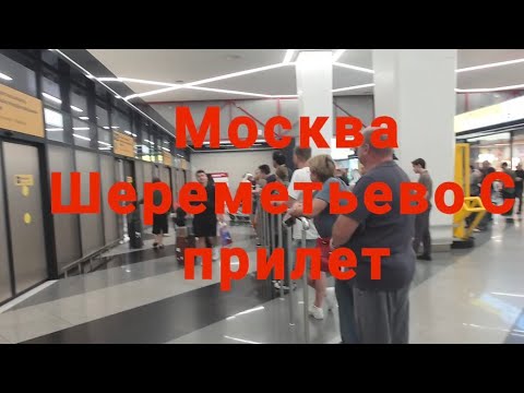 Видео: Прилетели в Шереметьево С. Что дальше?  Автобус, аэроэкспресс, такси Обзор Аэропорт