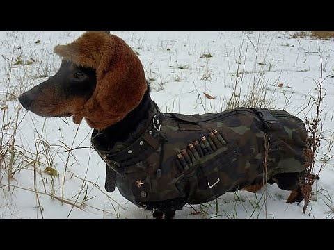 Видео: продолжение игры под названием секретная стационация 5 часть извините за то что у меня не было место