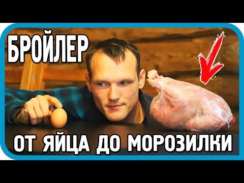 Видео: 100 КГ МЯСА ЗА 90 ДНЕЙ! ЭКСПЕРИМЕНТ ЗАВЕРШЁН!