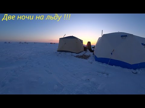 Видео: Две ночи на льду/ Снова с любимой на лёд/ И снова наш Салтаим