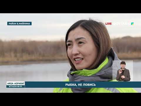 Видео: «АРҚА АҚПАРАТ» |ИТОГОВЫЕ НОВОСТИ | 30.10.2025