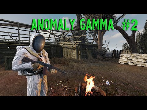 Видео: НАПАРНИК ТОХА ► S.T.A.L.K.E.R. ANOMALY GAMMA (2)