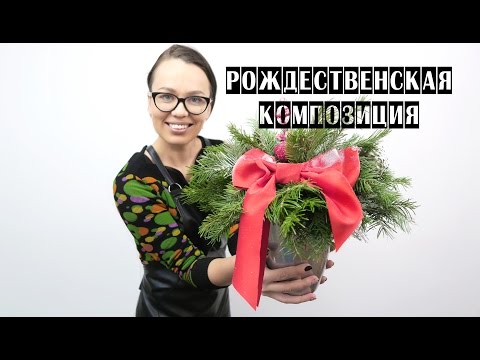 Видео: РОЖДЕСТВЕНСКАЯ КОМПОЗИЦИЯ | ФЛОРИСТИКА