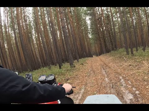 Видео: 29.03.2025 Пара дел в деревне и конечно же покатушки на ИЖ Юпитер 5, проба дороги по лесу.