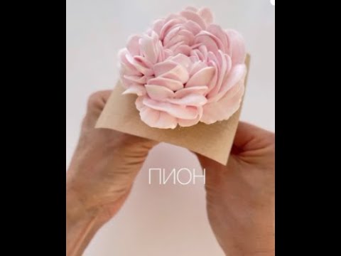 Видео: Туториал по отсадке одного из самых красивых цветов — пиона от Елены Тугановой