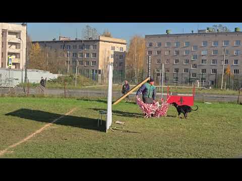 Видео: Большой Русский Ринг Пушкин 18.10.2025 группа Б участник №2