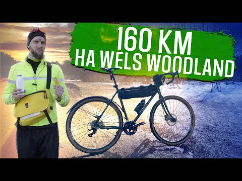 Видео: 160 км на Wels Woodland | ГУЛЯЙНЕН (2023)