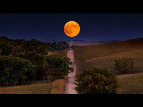 Видео: "В ночь колдовской луны". (Сбой матрицы).