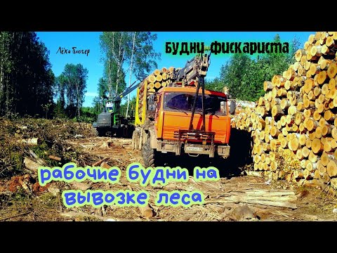 Видео: рабочие будни на вывозке леса камаз лесовоз