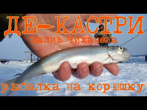 Видео: ДЕ-КАСТРИ ЗАЛИВ ЧИХАЧЕВА РЫБАЛКА НА КОРЮШКУ МАРТ 2021