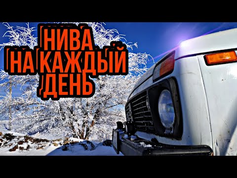 Видео: НИВА НА КАЖДЫЙ ДЕНЬ! плюсы и минусы LADA 4X4 в условиях города, бездорожья и передвижения по трассе.