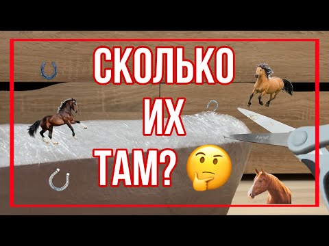 Видео: РАСПАКОВКА БОЛЬШОЙ ПОСЫЛКИ С ЛОШАДЬМИ ШЛЯЙХ | Schleich