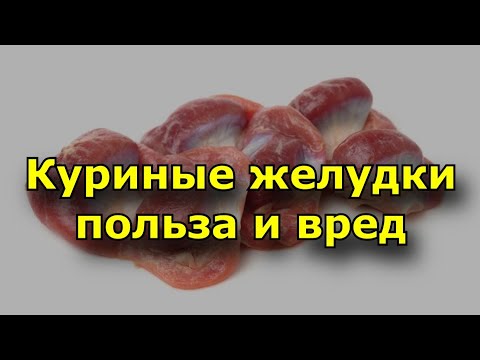 Видео: Куриные желудки польза и вред. Химический состав желудков