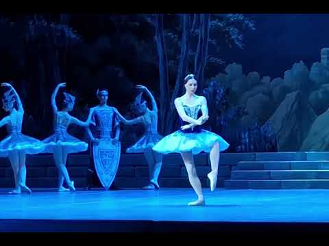 Видео: Ксения Овчинникова,  вариация в сцене сна, "Раймонда" 1 ноября 2025