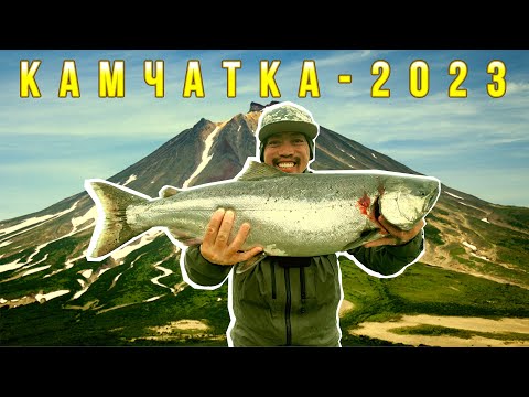 Видео: Чавыча, Камчатка 2023