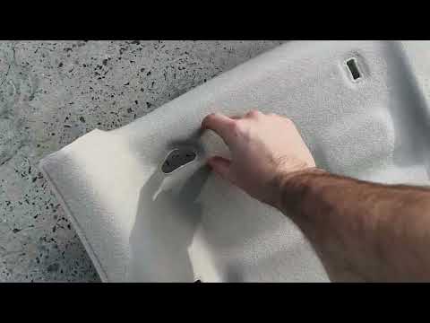 Видео: 1 ноября 2025 г.