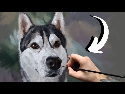 Видео: Как рисовать собак (полный процесс)