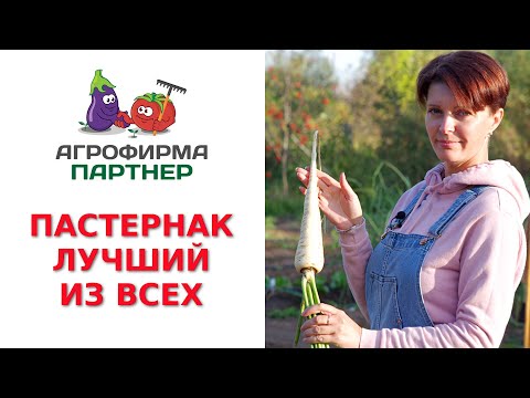 Видео: ЛУЧШИЙ ИЗ ВСЕХ ПАСТЕРНАК