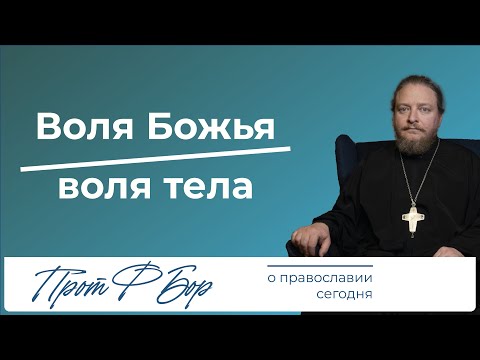 Видео: Паралич воли и воля Божья. Священник Федор Бородин