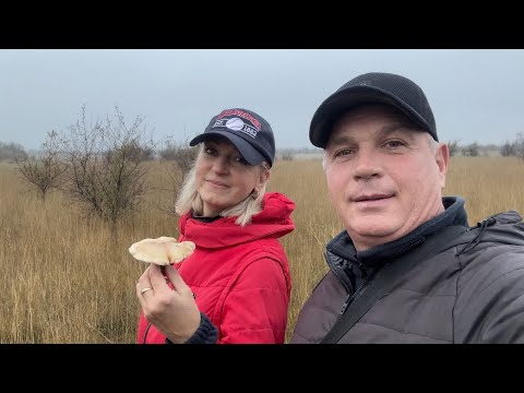 Видео: СОРВАЛИСЬ И ПОЕХАЛИ🚘 УСПЕЛИ ДО ТЕМНА👍