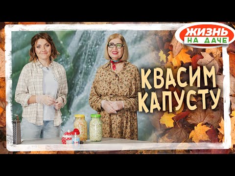 Видео: Как квасить капусту!