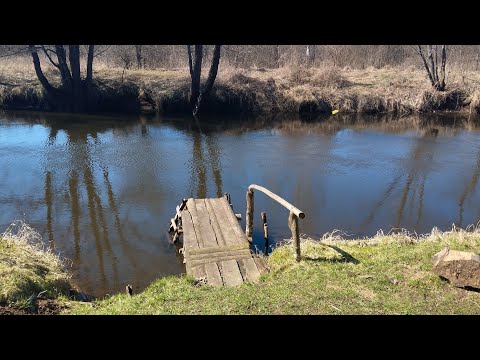 Видео: Однодневный поход на реку Бобр. Осмотр туристических стоянок.