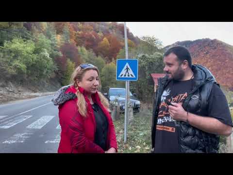 Видео: Изродите от БАБХ изтребиха стадото на Рилския манастир. Предстоят обл. Кюстендил и Благоевград!!!