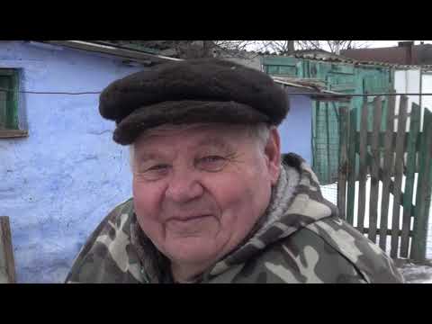 Видео: Николаевские голуби. 80 лет по жизни с голубями.